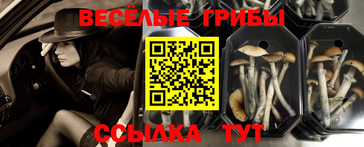 Галлюциногенные грибы Magic Shrooms  купить наркотики сайты  Галлюциногенные грибы мухоморы  Чехов  Вход с VPN 